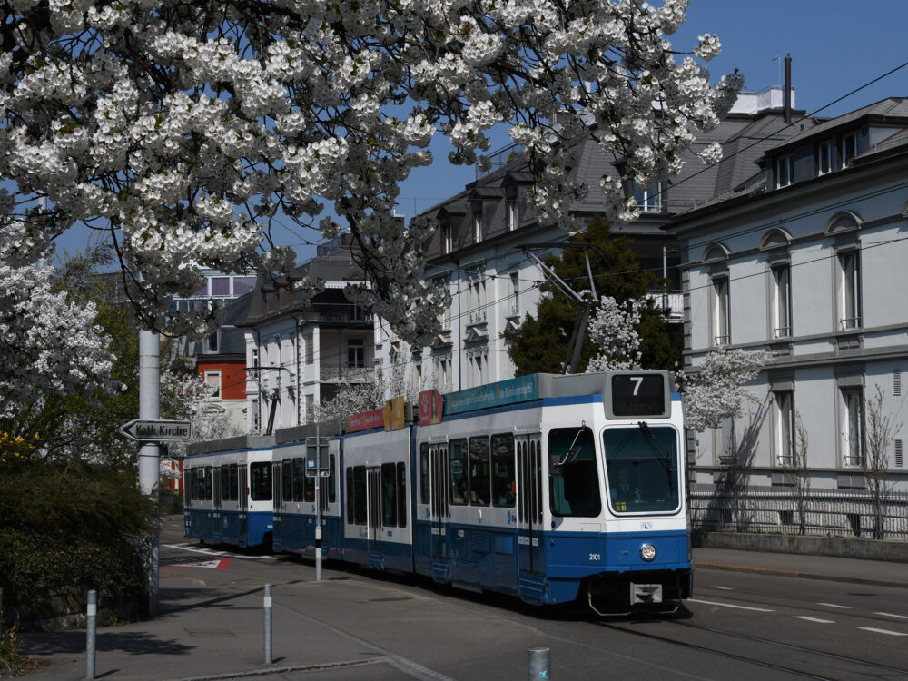 Tram Museum Zürich Verabschiedung Sänften und Ponys